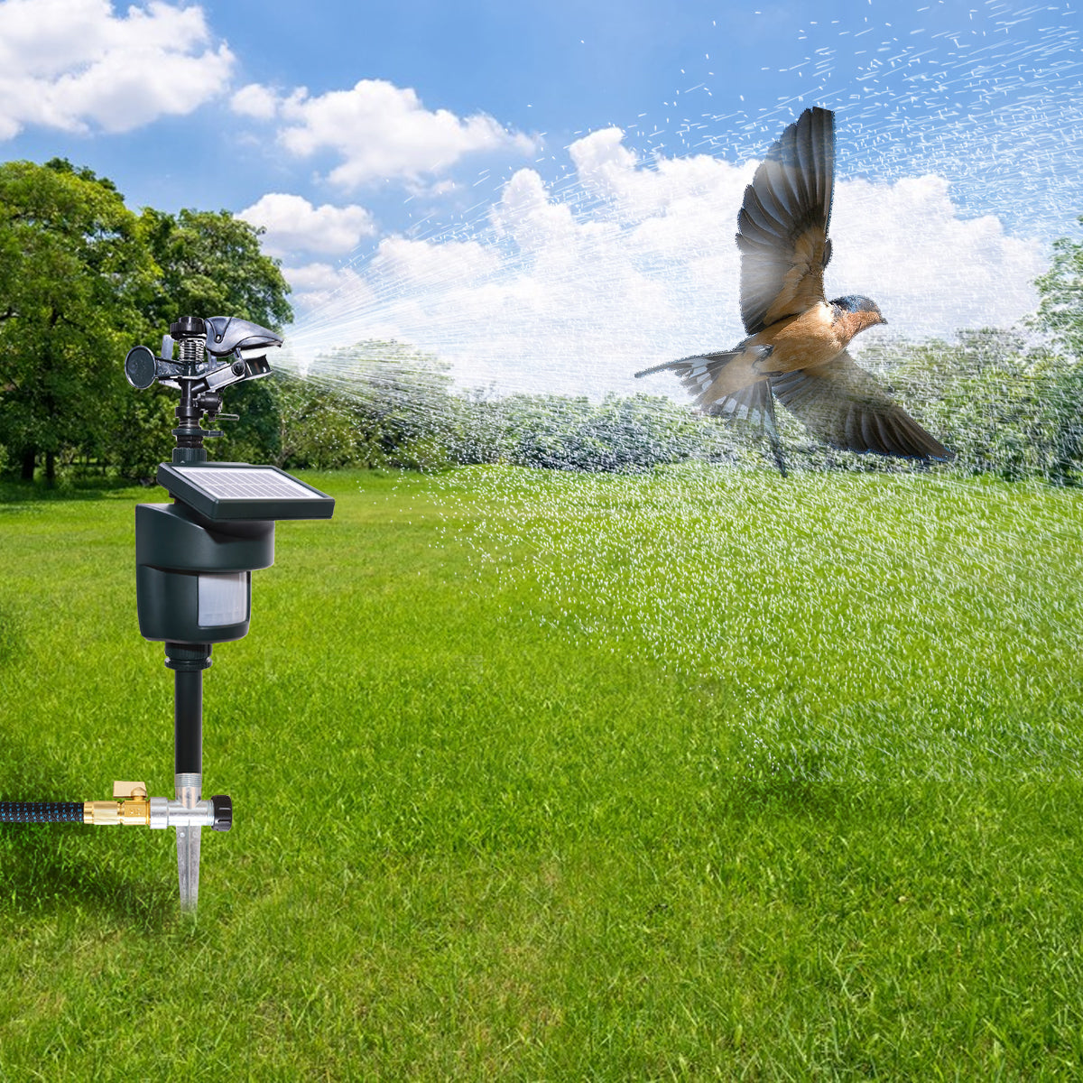 Arroseur Détecteur De Mouvement Pour Jardin - Répulsif Animaux (chats, Oiseaux...) - Zone 100 M², Sensibilité Réglable - Alimentation Piles + Eau